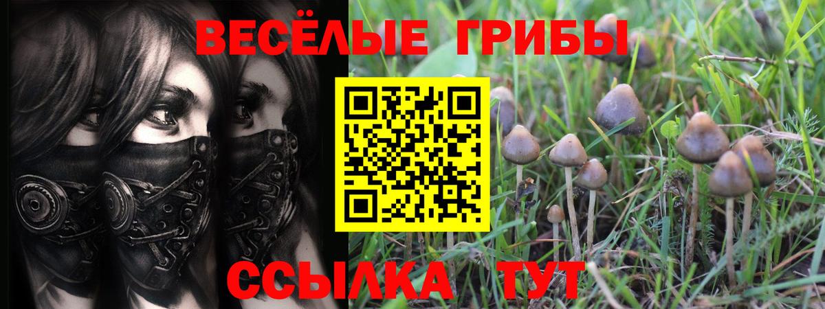 Благодарный  Псилоцибиновые грибы MAGIC MUSHROOMS  Галлюциногенные грибы Magic Shrooms  Вход с VPN 